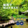 Фото профиля 魔咲人(加茂でWAKWAK CA)