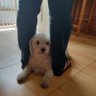 Profilbild von Torsades de Pointes®