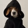 clxi.mrgx༊*·˚'s profile picture