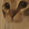 Kaan's profile picture