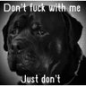 Binkie's profile picture