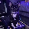 arcp's profile picture