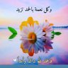 Salem almaterdi's profile picture
