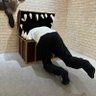 ЀПÑП пÑПÑÐžÐ»Ñ ãšã«âãããã³9/21 Ado10/24 YOASOBI10/25