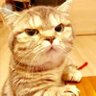 Profilbild von dondedean