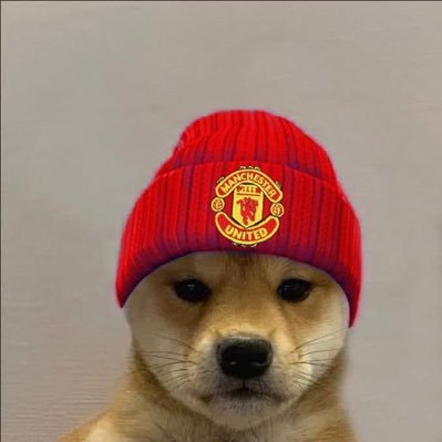 Grooz's profile picture