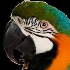 コウイ's profile picture
