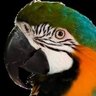 コウイ 的头像