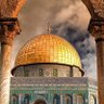 هند حامد الأنصاري 的头像