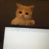 挽笙's profile picture