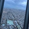 らいす 的头像