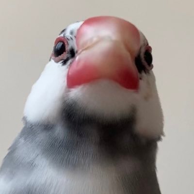 fkfkfkchanchan's profile picture