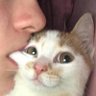 Profilbild von Meat Cohesion