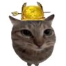 蹦得儿 ☭正在经历永久性头部损伤's profile picture