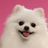 Carry Bailey's profile picture