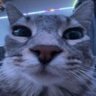 s.'s profile picture