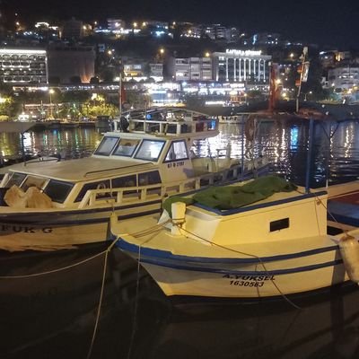 Mehmetcangamze07's profile picture