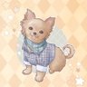 たか(イッヌ好き)'s profile picture