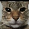 Alan profil fotoğrafı