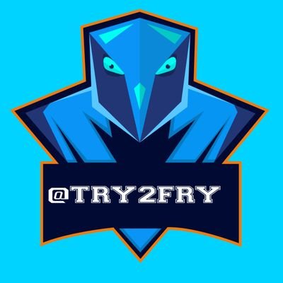TRY2FRY's profile picture