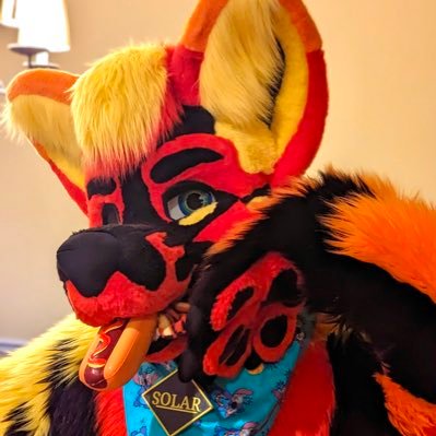 taysolflare ➡️ MIR, LVFC's profile picture