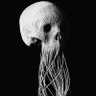 40_Head profil fotoğrafı