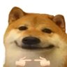 Profilbild von 乐子