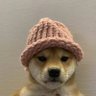 leeroy 的头像