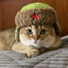 Кот Бегемот's profile picture
