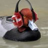 duck 的头像