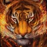 TitoFigo86 profil fotoğrafı