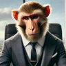 Jaú Lucio's profile picture