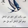 Profilbild von احمد ناصر