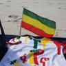 Tedla Asfaw's profile picture