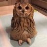 All Knowing Owl profil fotoğrafı