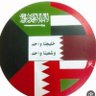 Shaikha Alj's profile picture