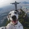 Zeca's profile picture