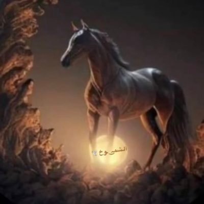 الشموخ's profile picture