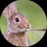 Manonthehill's profile picture