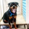 Фото профиля Junior