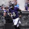 Profilbild von #ravensflock , (9-5)