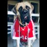 Nacho's profile picture