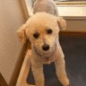 タマって呼ばれてる 的头像