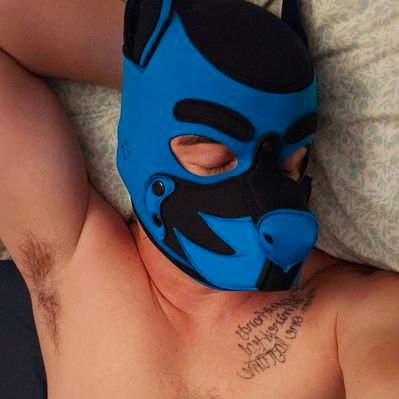 pupper_mylo's profile picture