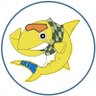 がろたんぐ🦈💛👑💪🥝 的头像