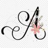 Фото профиля Amy Zhang