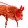 Bee (2,763) 的头像