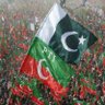 Amina Rana's profile picture