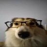 Profilbild von Meeks