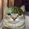 Saya Random profil fotoğrafı